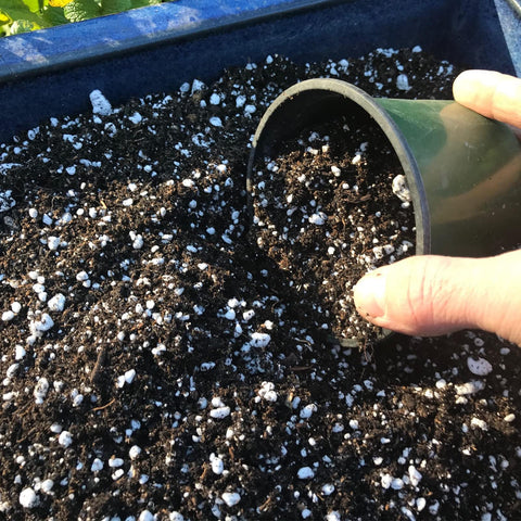 Doter Perlite aeration structure enhances soil air pockets for robust roots.