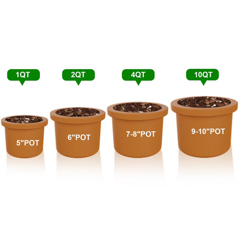Doter Perlite supports healthy growth in home gardens indoors and outdoors.