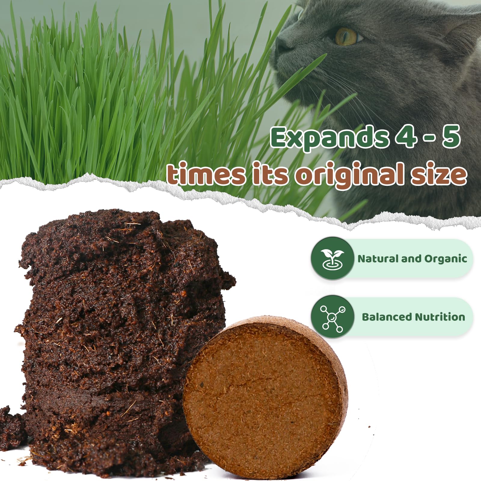 Doter coconut coir is pure and pet-safe, ideal for cat grass.