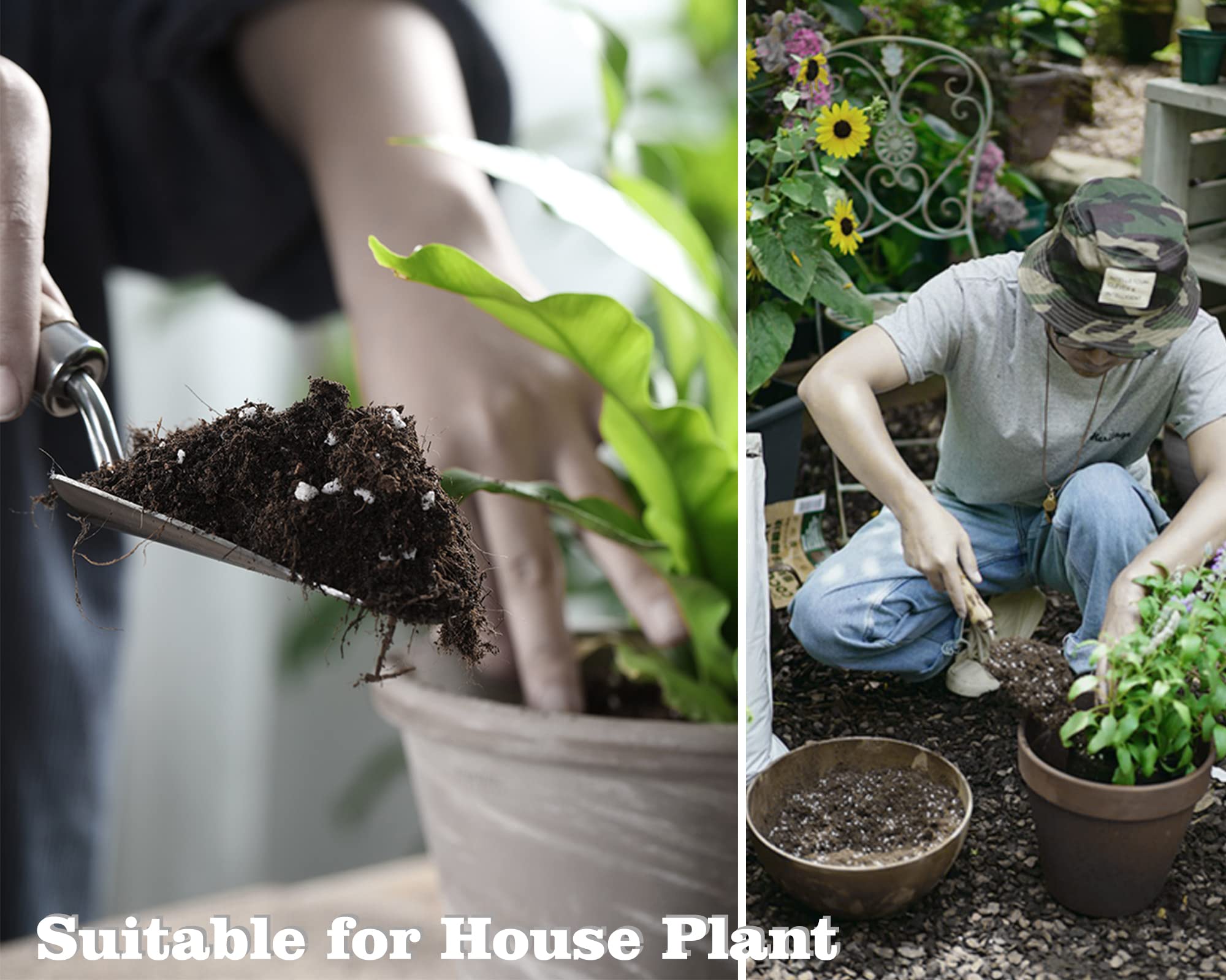 Doter potting mix with worm castings promotes healthy root nourishment