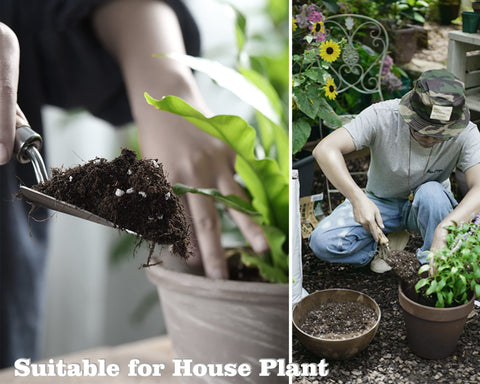 Doter potting mix with worm castings promotes healthy root nourishment