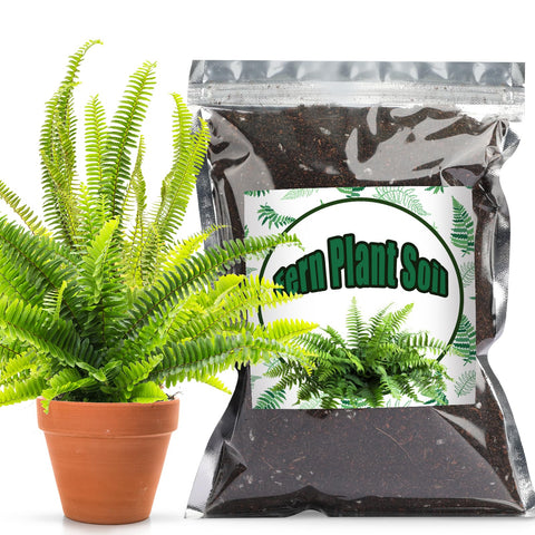 Doter fern soil packaging in a 1qt bag ready for new fern planting