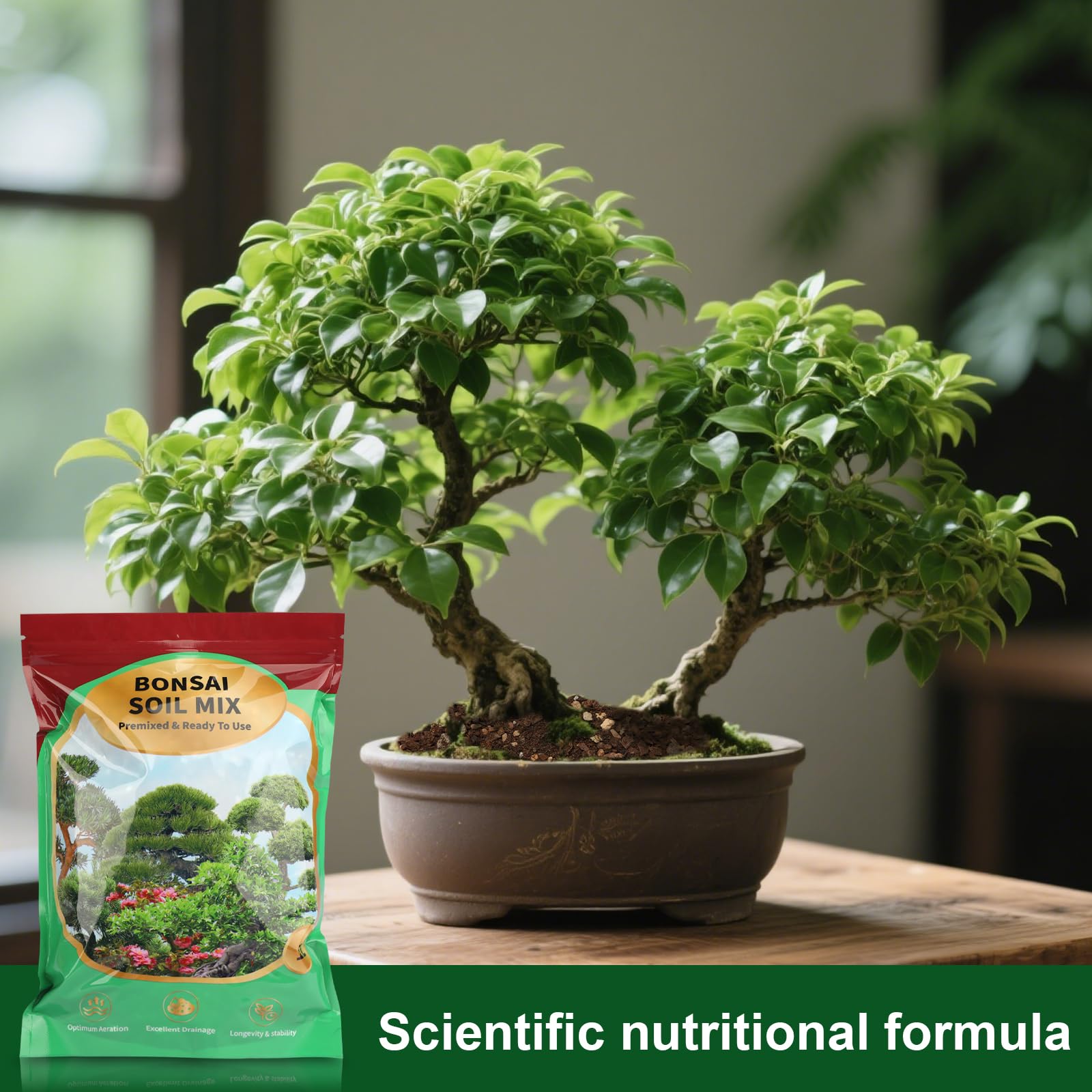 Doter Premium Bonsai Soil Mix in pot highlights healthy root exposure and moisture