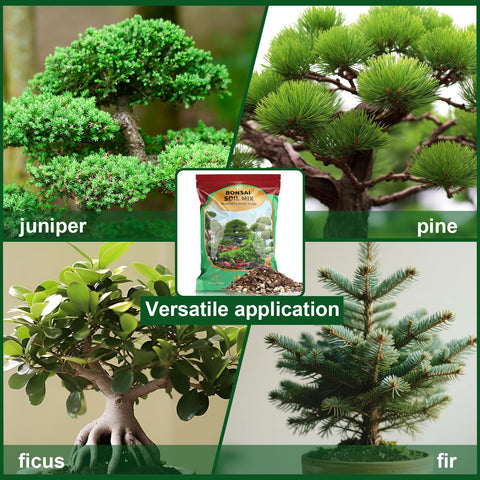 Doter Premium Bonsai Soil Mix ingredients close-up emphasizes volcanic rock and pumice