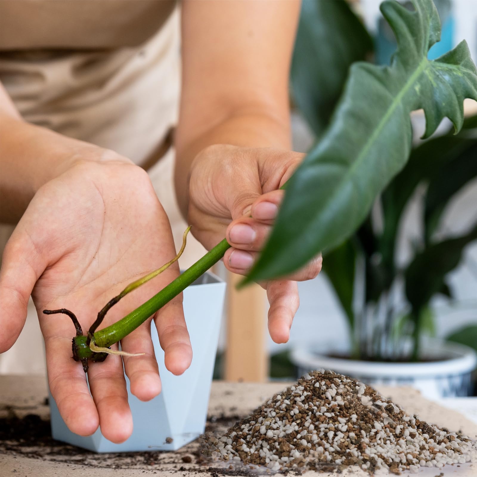 Doter lightweight mix image highlights portability and easy garden use.