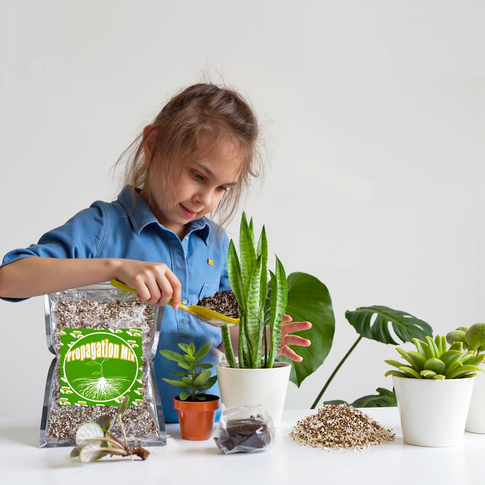 Doter versatile propagation mix suits flowers, herbs, and vegetables.