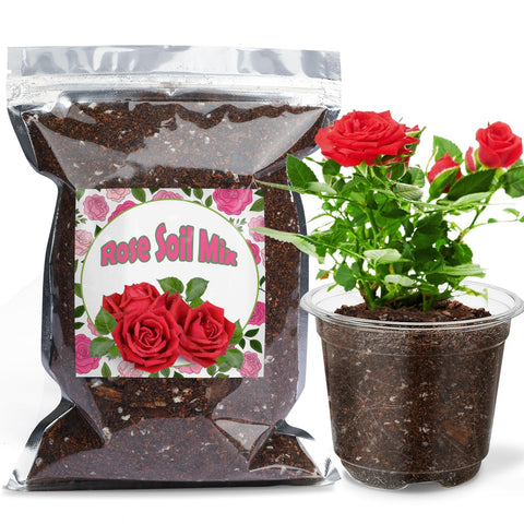 Doter Rose Soil Mix demonstrates balanced pH for healthy rose roots and blooms.