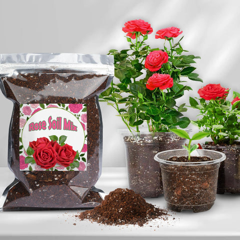 Doter Rose Soil Mix provides essential nutrients and trace elements for lush foliage.