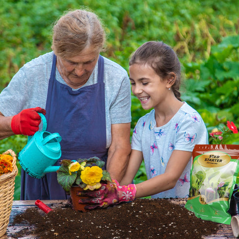 Doter Seed Starter Mix nourishes with organic nutrients for growth.