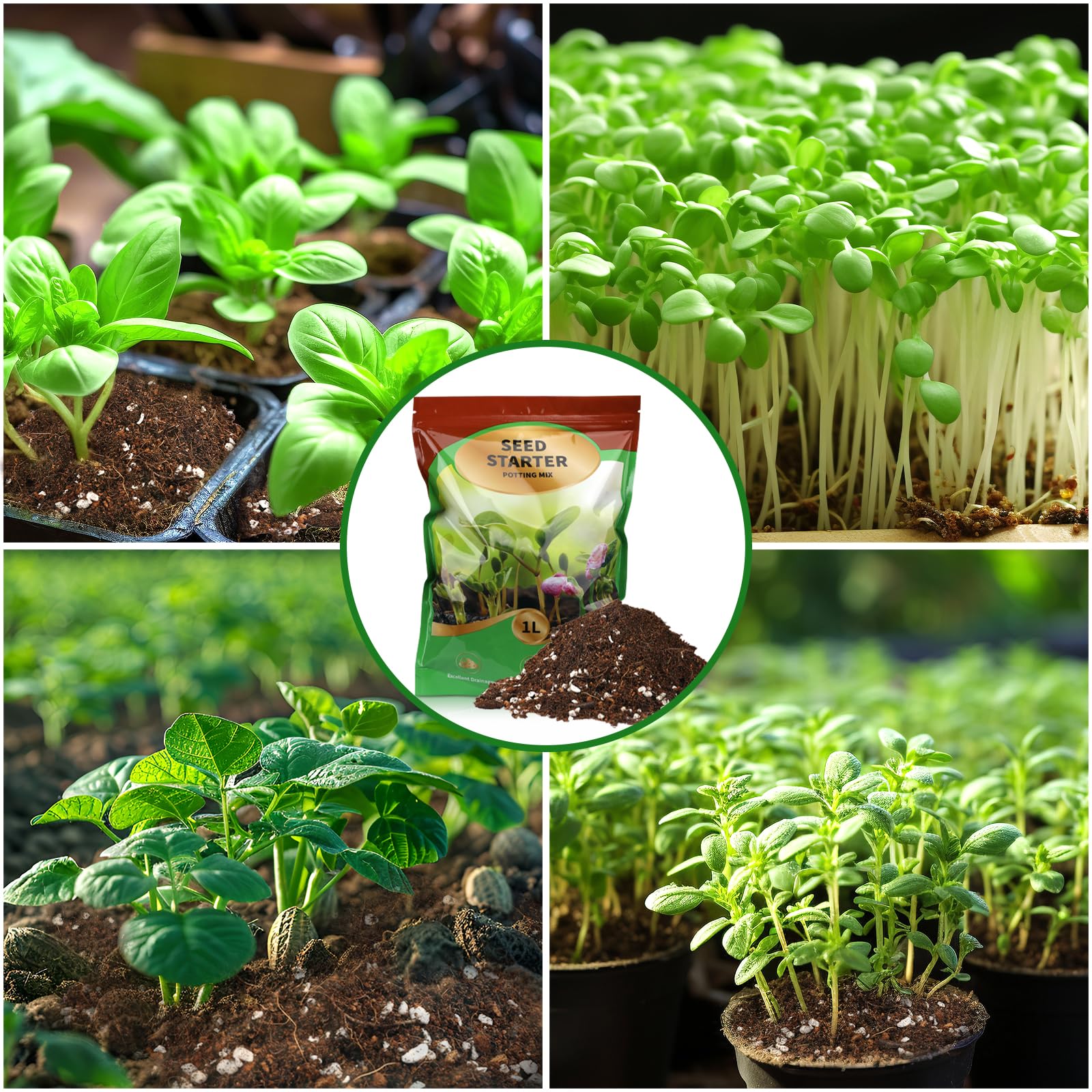 Doter Seed Starter Mix ready-to-use bag simplifies seed starting.