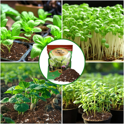 Doter Seed Starter Mix ready-to-use bag simplifies seed starting.