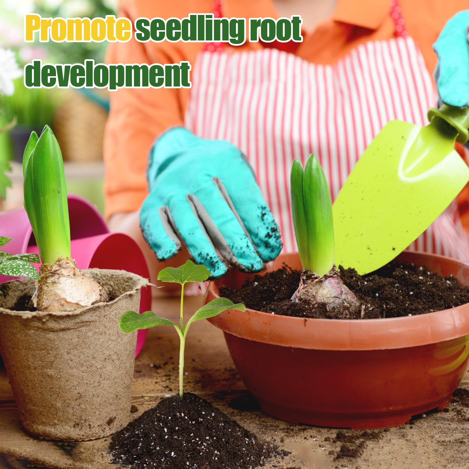 Doter seedling transplant and propagation use demonstrates versatile garden applications.