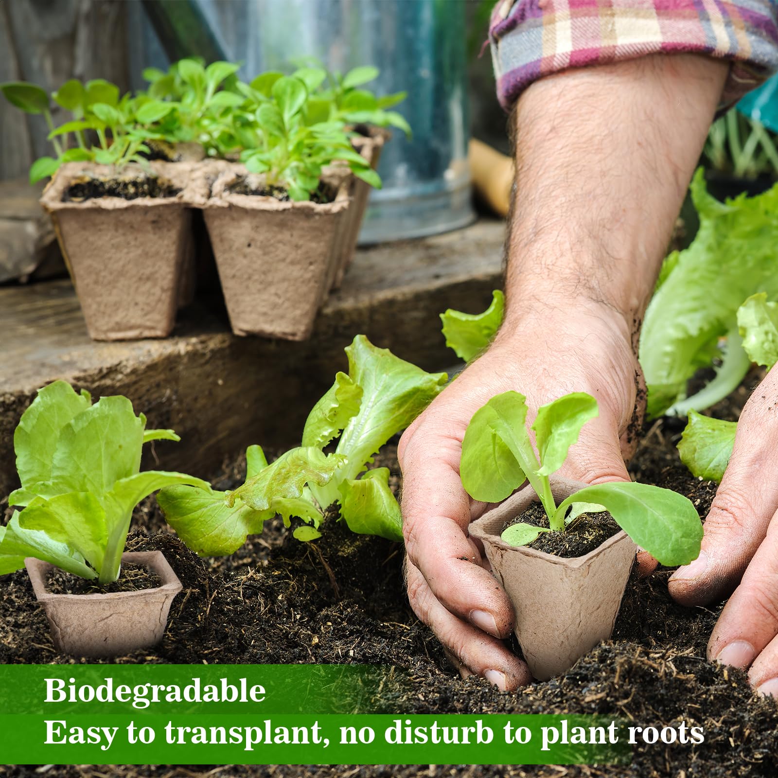 Doter seedling tray 120 cells supports versatile use in gardens.
