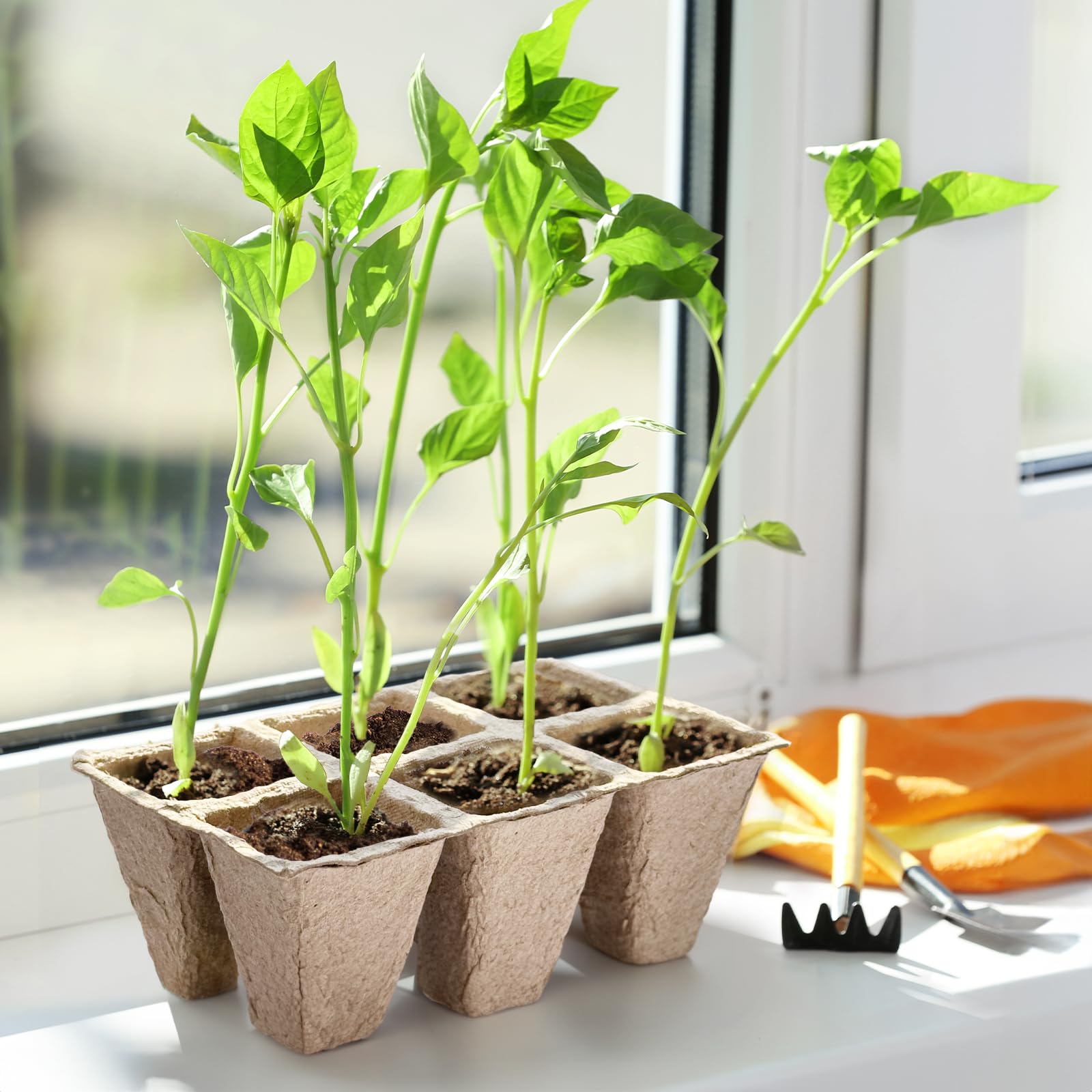 Doter seedling tray peat pot integration aids sustainable starts.