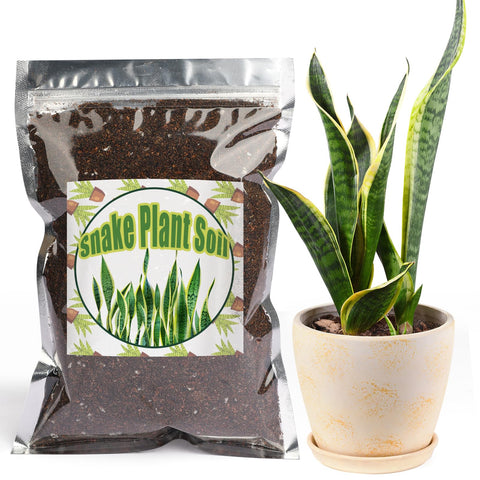 Doter Premium Snake Plant Soil Mix bag promotes balanced nutrition and drainage.