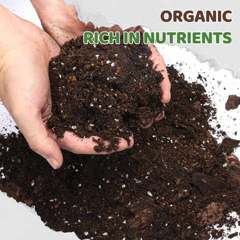 Close-up of Doter soil mix texture showing airy structure for healthy roots.