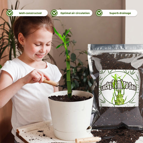 Doter 1qt bag with soil that drains well while retaining root hydration.