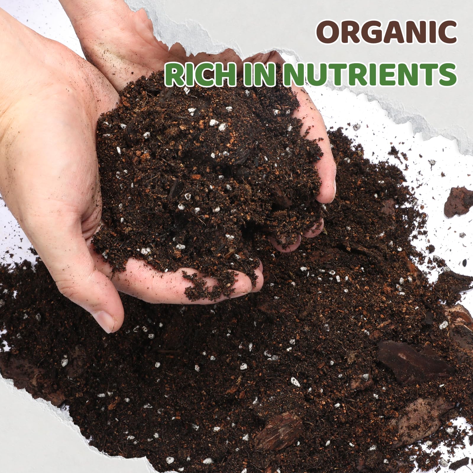 Doter soil mix texture closeup shows well-draining, moisture-retentive blend