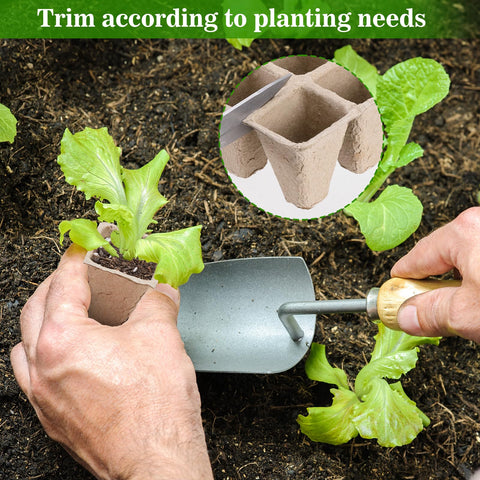 Doter sturdy seedling tray proves durable construction for the seedling stage.