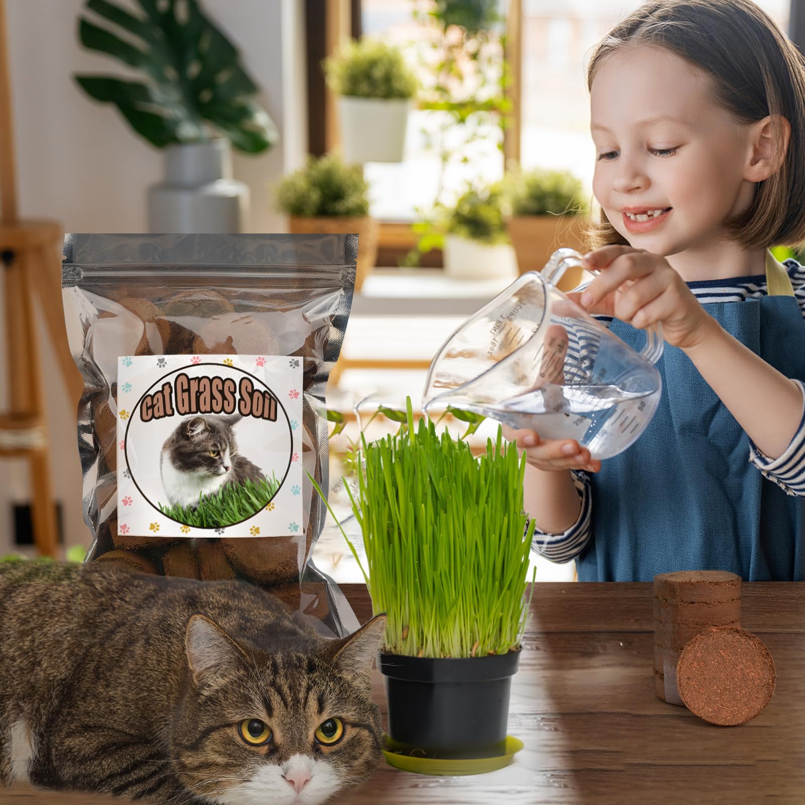 Doter sustainable packaging complements renewable coconut coir discs.