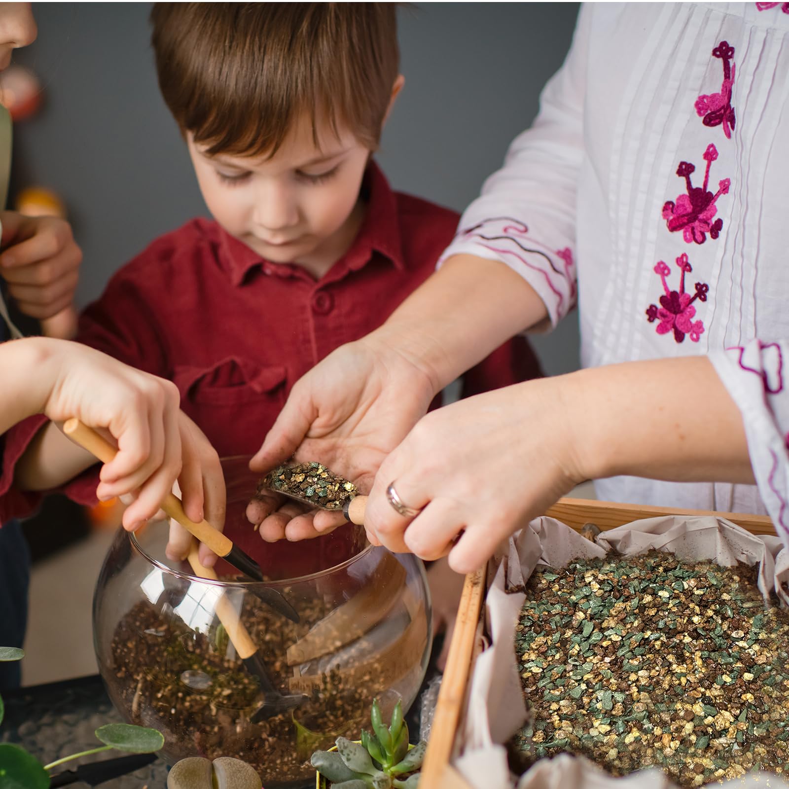 Doter Terrarium Miniature Garden creating vibrant, thriving micro-gardens.