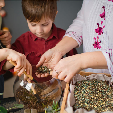 Doter Terrarium Miniature Garden creating vibrant, thriving micro-gardens.