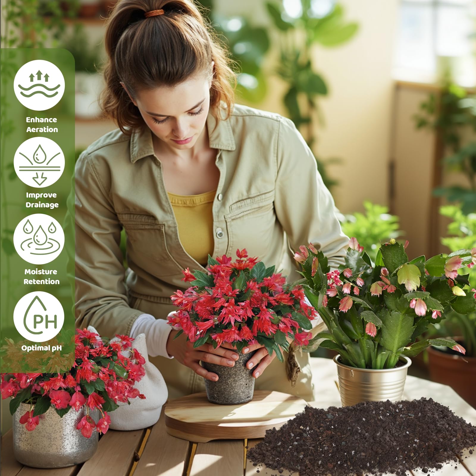 Doter versatile-use mix suits cacti, succulents, African violets, aloe vera, and more.