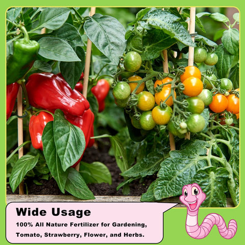 Doter Worm Castings garden scene demonstrates drought resistance and lush growth