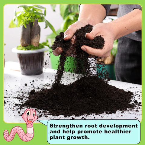 Doter Worm Castings soil enrichment highlights improved texture and moisture retention