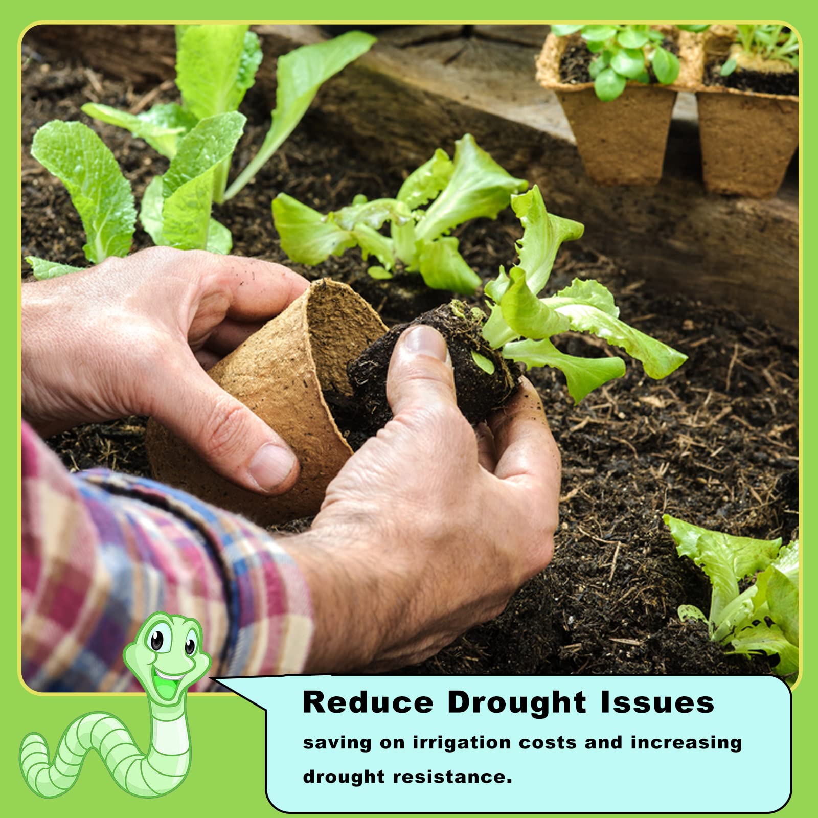 Doter Worm Castings nurture tomatoes, strawberries, herbs, and flowers