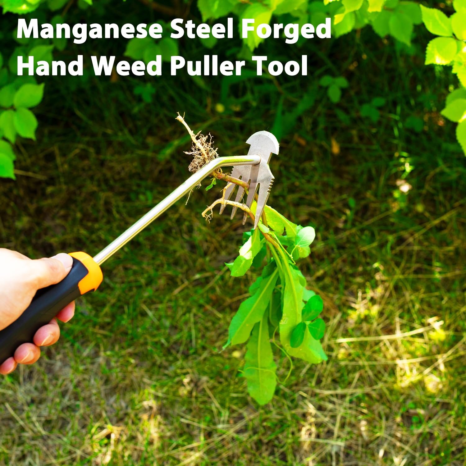 Dotet weed removal in gardens and pathways with precision.