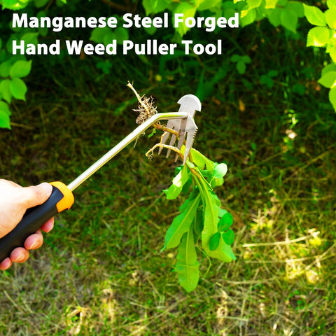 Dotet weed removal in gardens and pathways with precision.