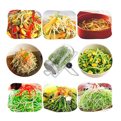 DOUBLE 2 C BPA-free dishwasher-safe parts simplify cleaning after sprouts.