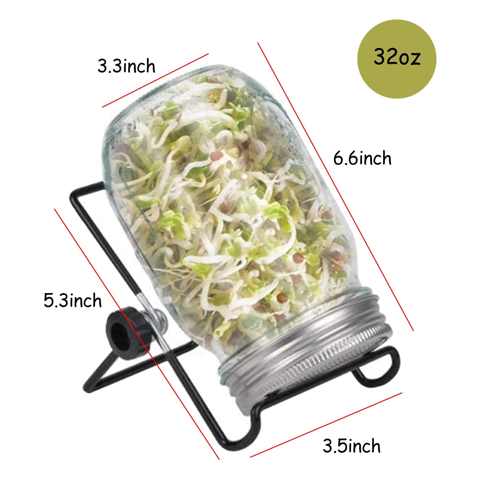 DOUBLE 2 C seeds not included; customize with your preferred greens.