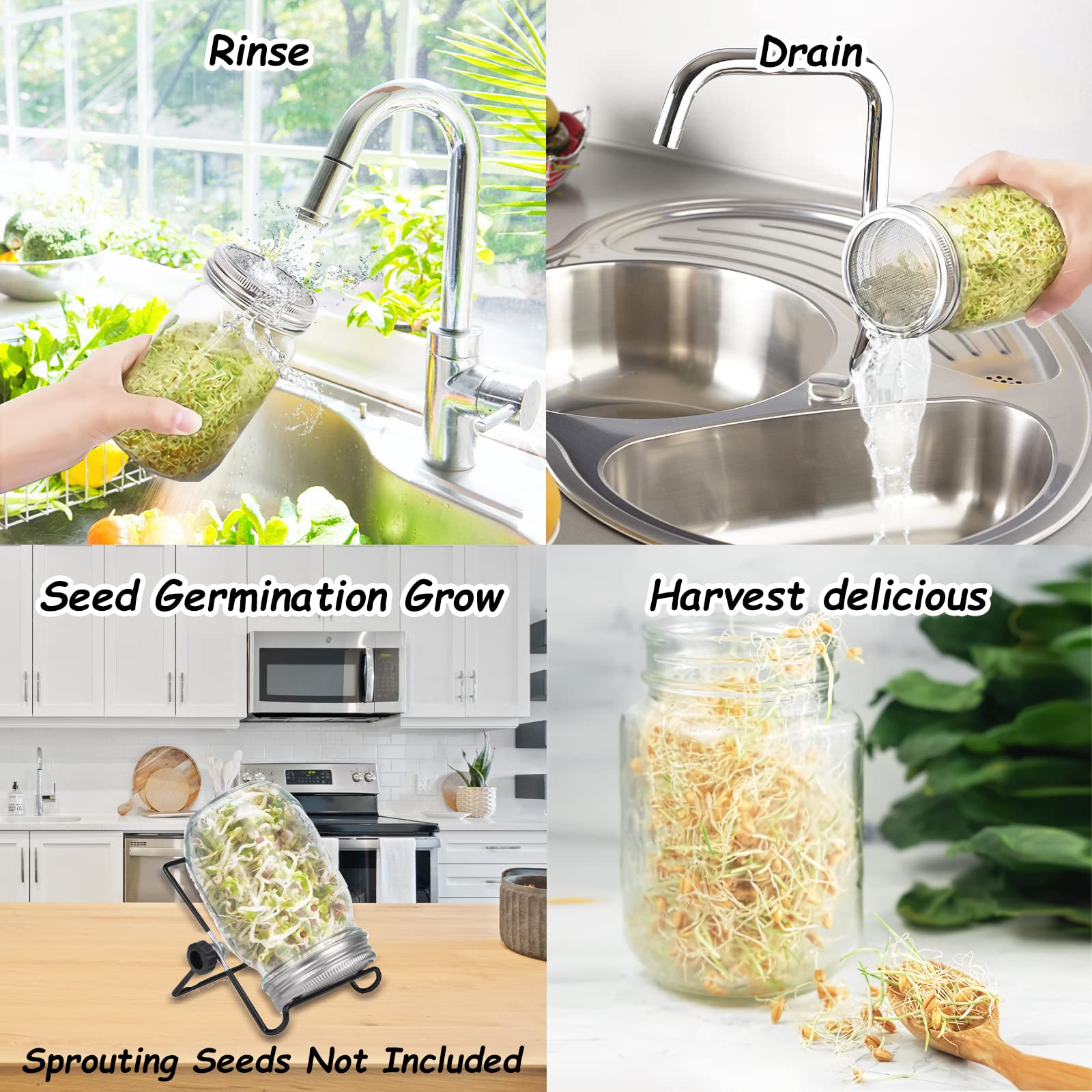 DOUBLE 2 C sprout stand keeps jars upright on kitchen counters.