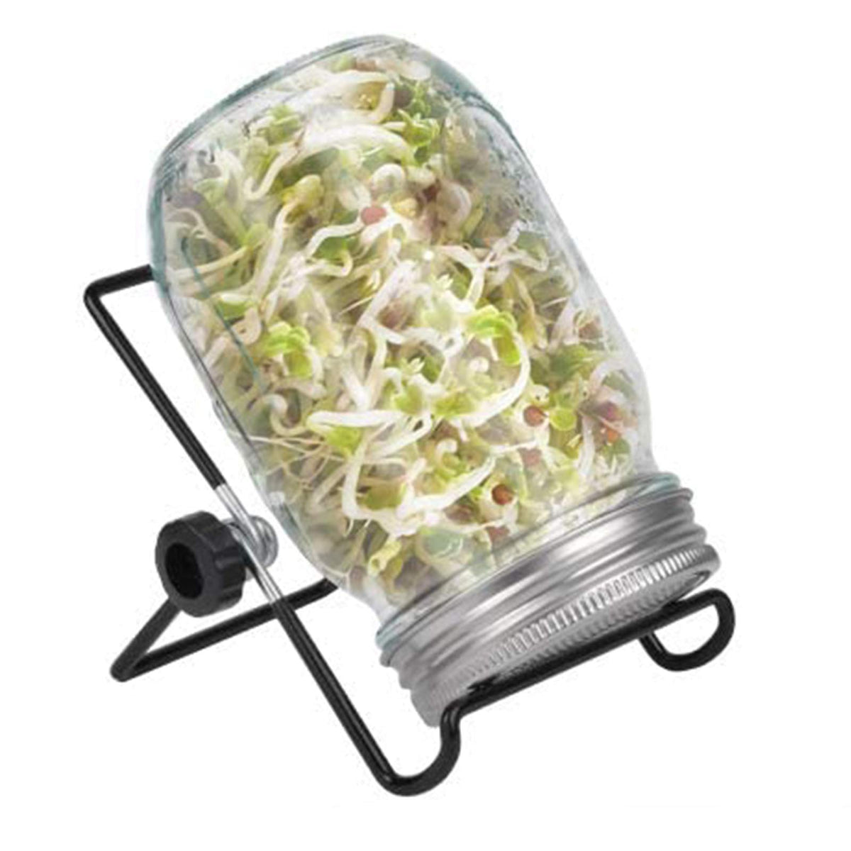 DOUBLE 2 C sprouting jar kit with wide-mouth jar for easy home sprouting.