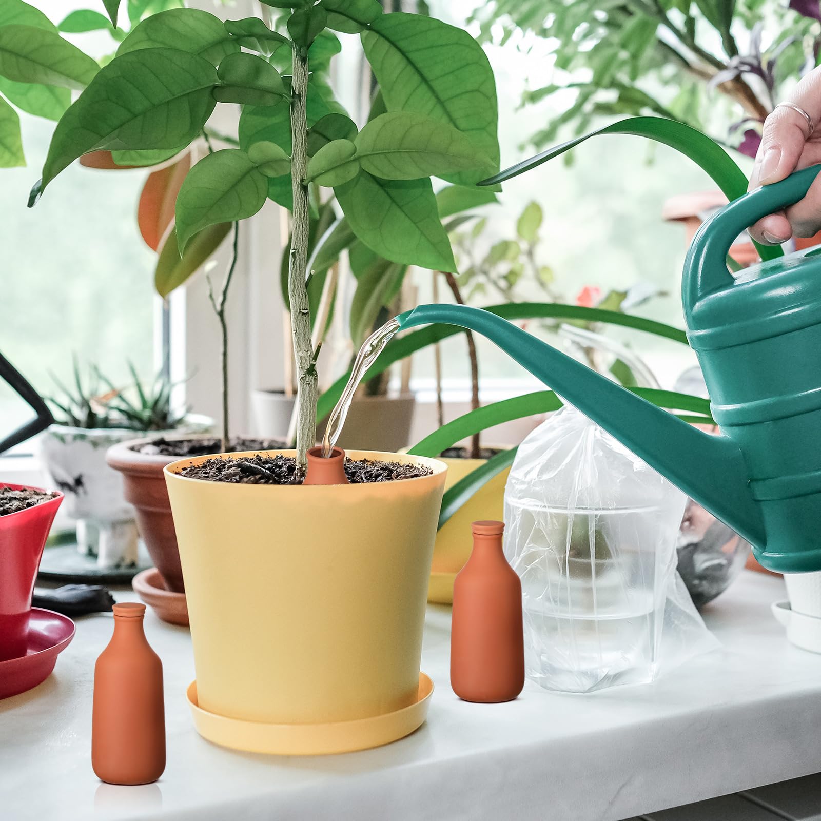 DoubleFill coverage for two large plants ensures efficient water use.