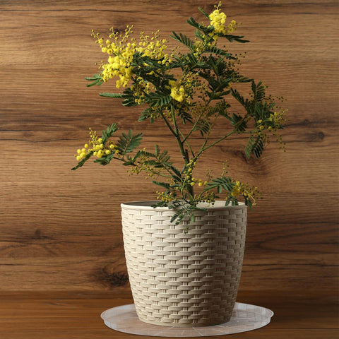DoubleFill clear tray blends with decor while protecting surfaces from spills.