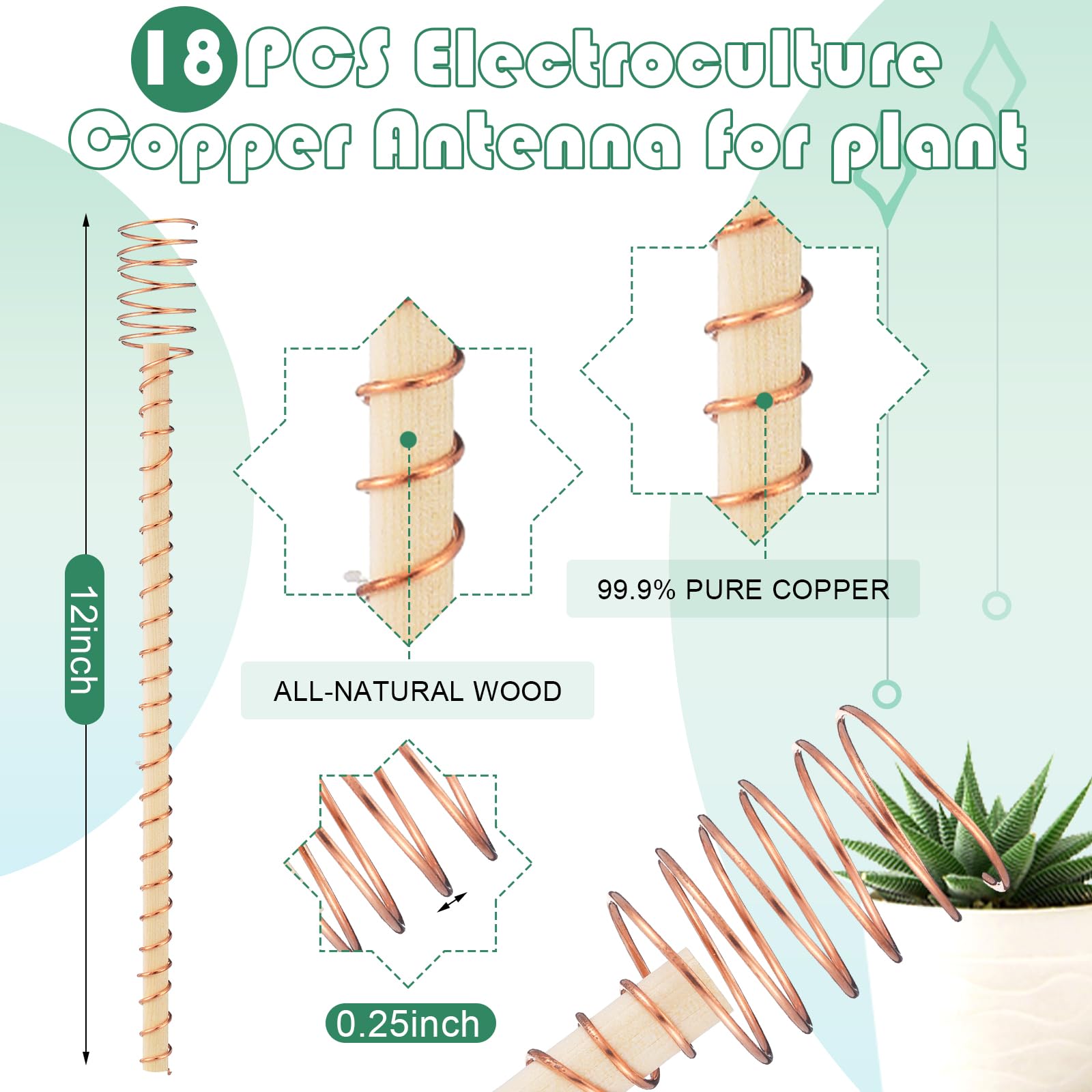 Wood and copper stake assembly shows sturdy garden support