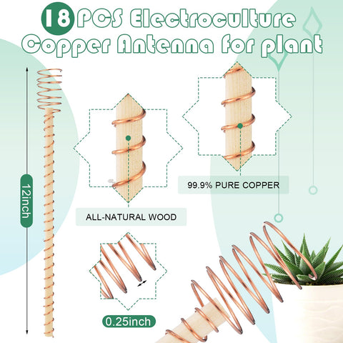 Wood and copper stake assembly shows sturdy garden support
