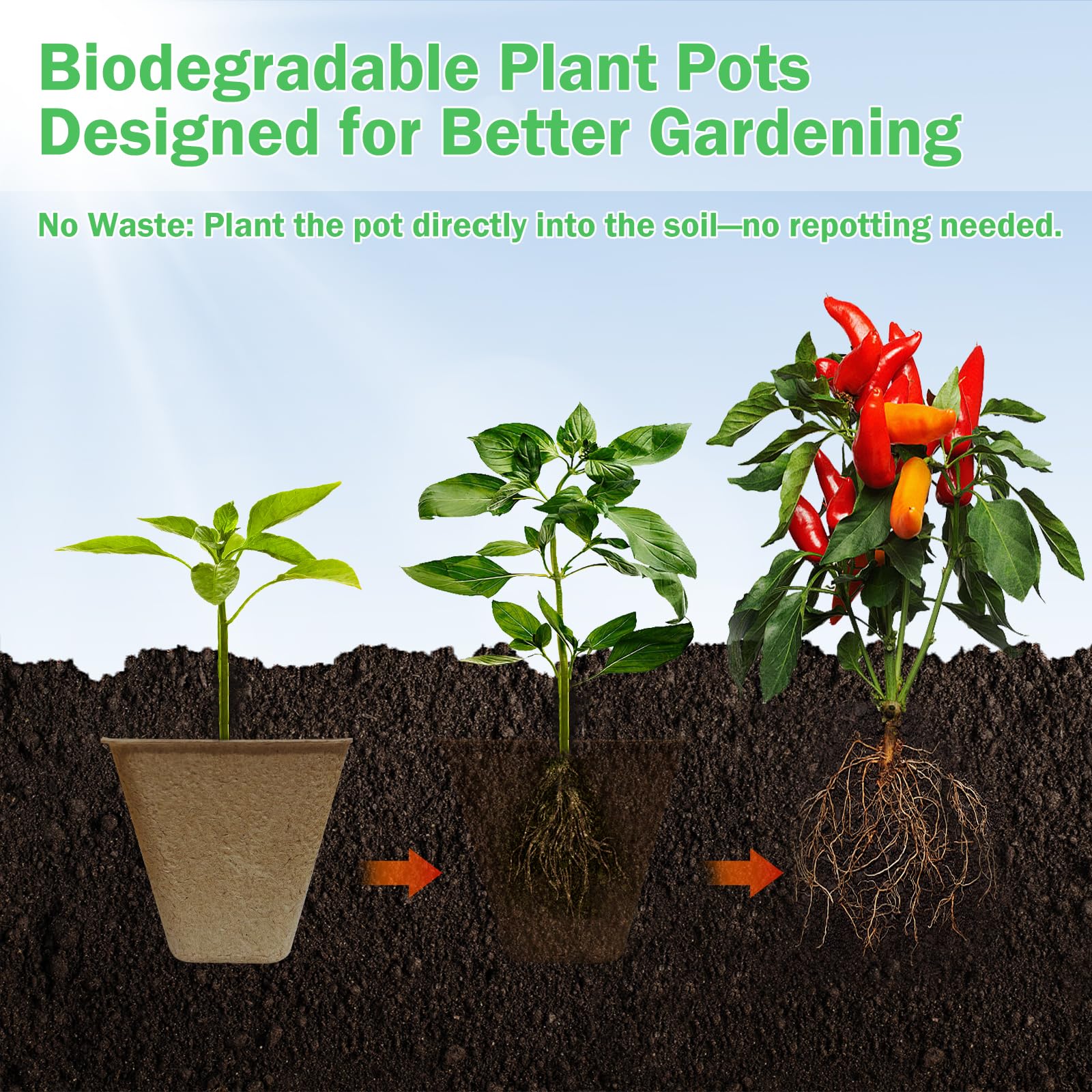 Doubleggs 100-labels pack for organized seedling tracking