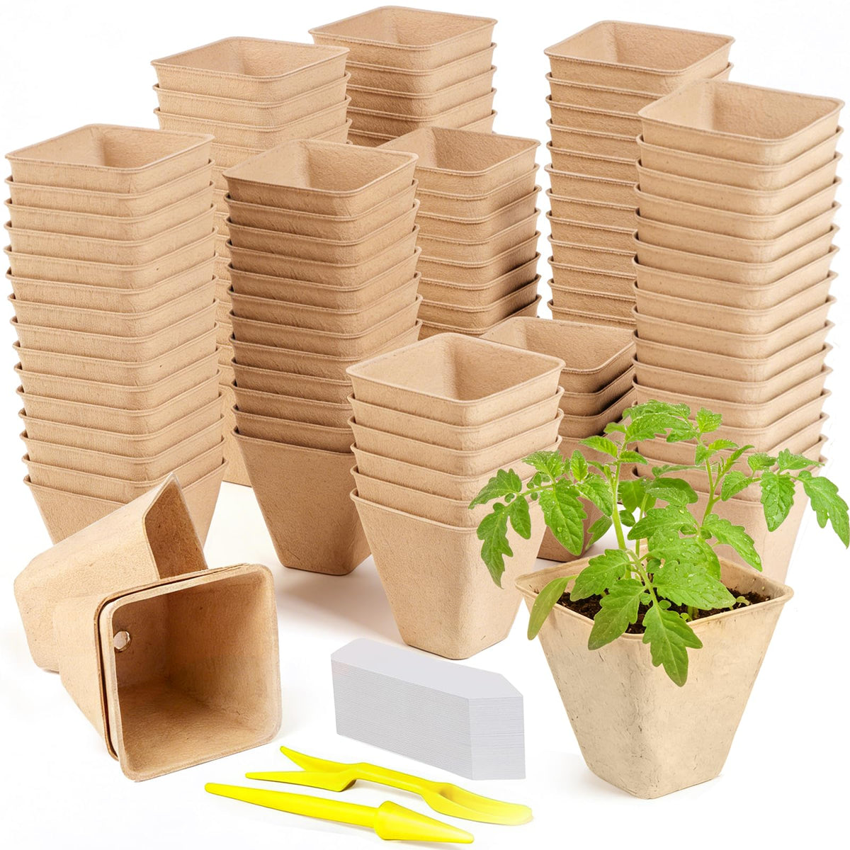 Doubleggs 165-pack square peat pots support healthy root growth.