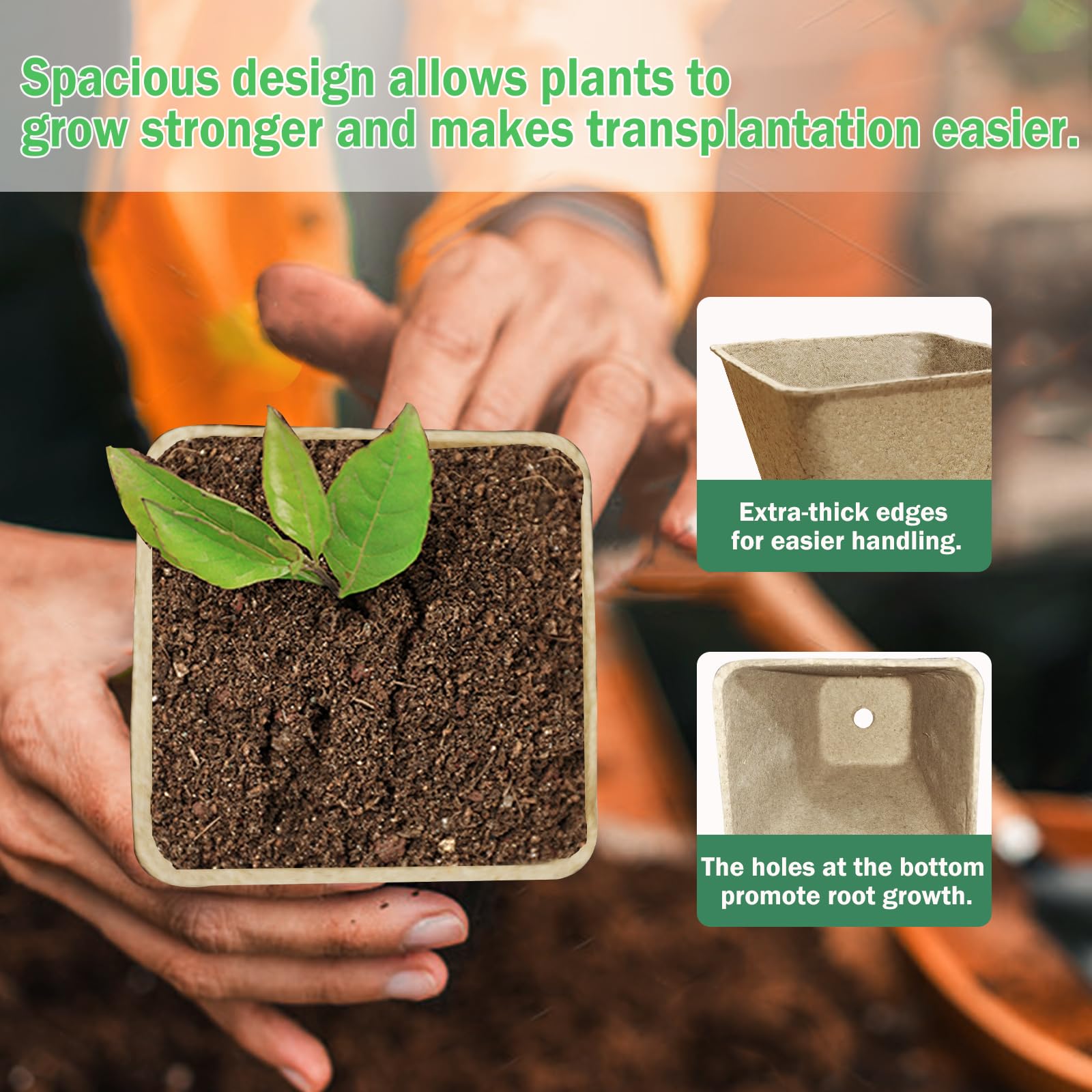 Doubleggs 3.15-inch square peat pots ready for seedlings