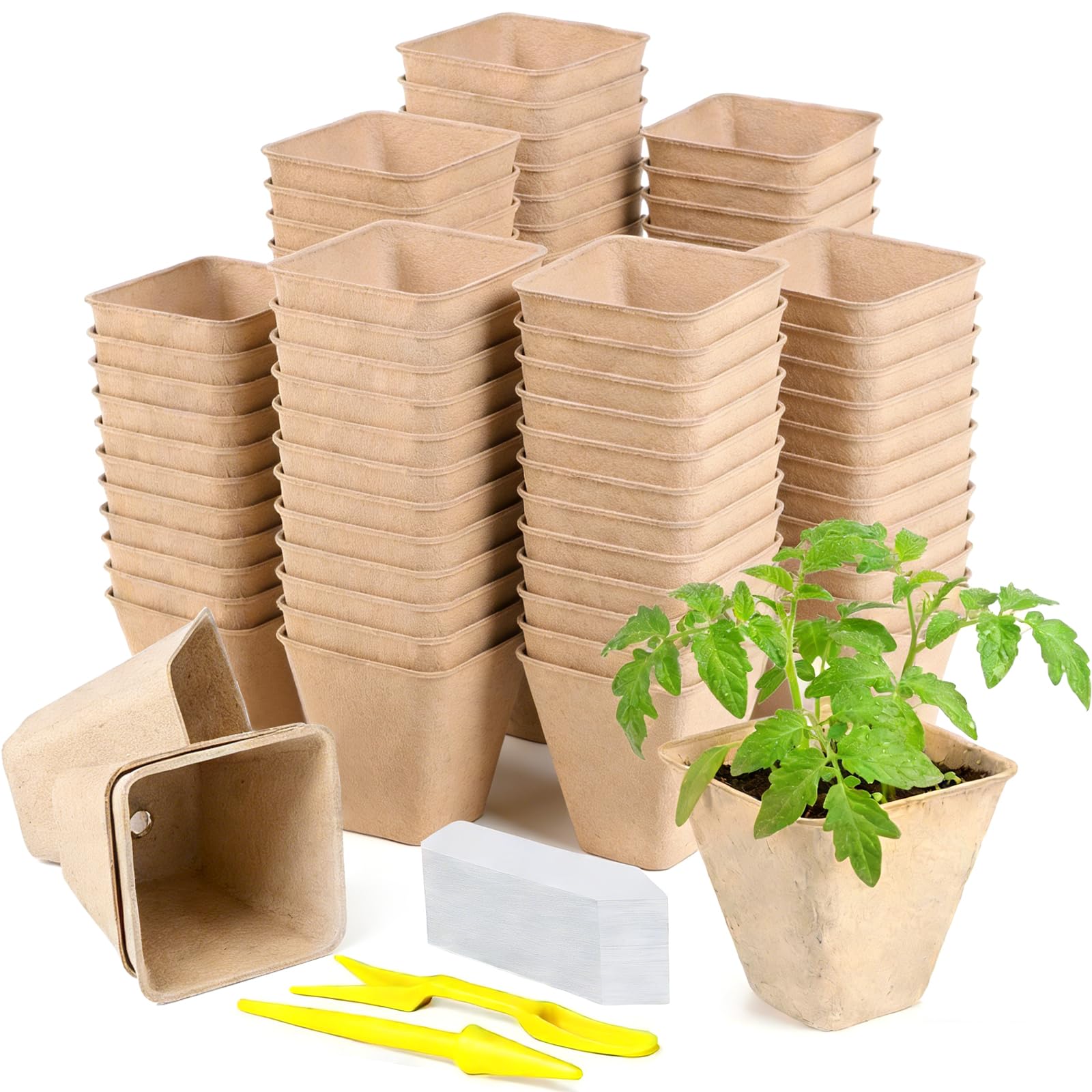 Doubleggs 70-pack peat pots top view for seed starting