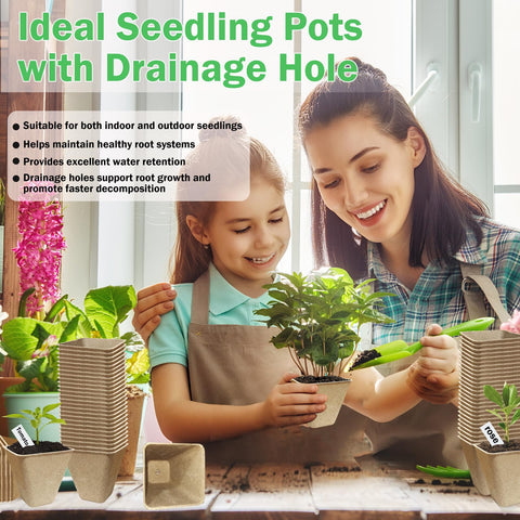 Biodegradable peat pots support eco-friendly seed starting.