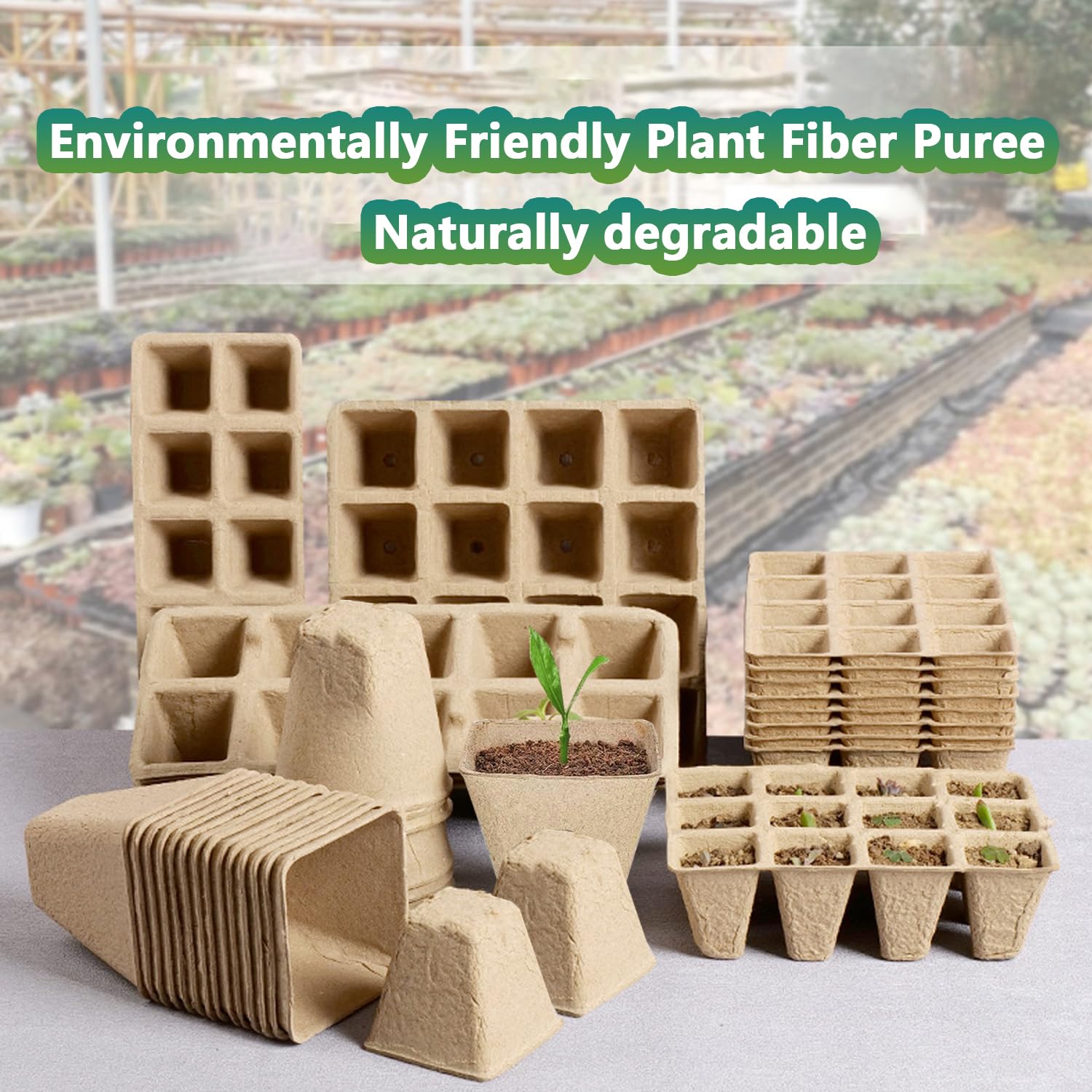 Doubleggs indoor-outdoor seed starter kit enabling seamless gardening from germination to transplant.