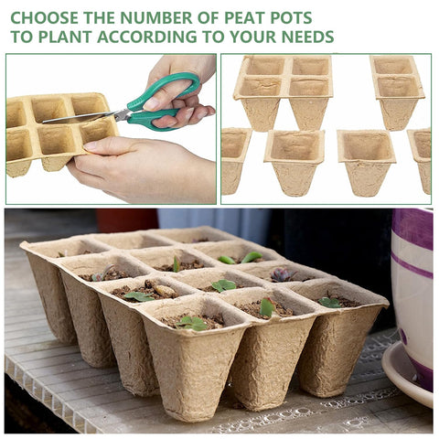 Doubleggs mini transplanting tools aid careful handling of delicate seedlings.