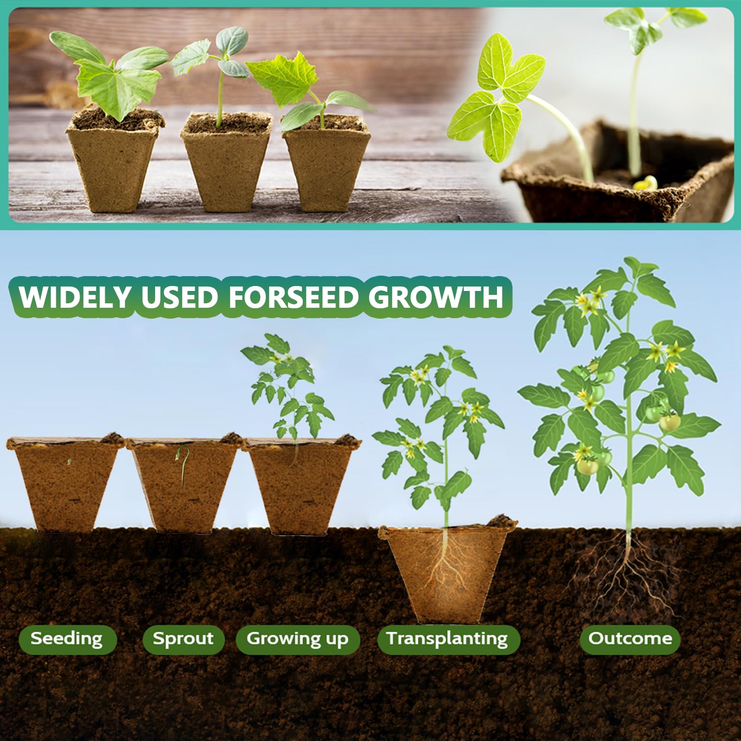 Doubleggs planting labels help organize varieties for easy garden planning.
