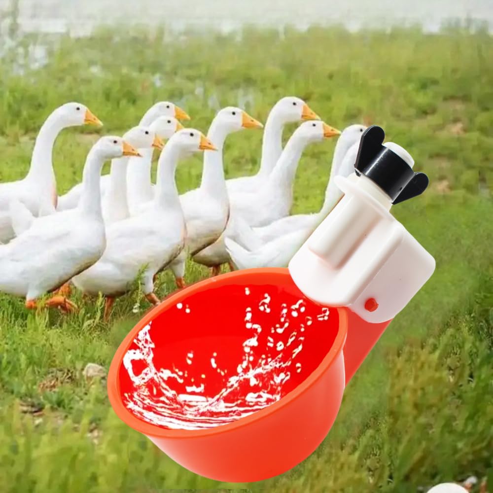 DoubleWood waterer suitable for chickens, rabbits, and small birds.