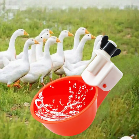 DoubleWood waterer suitable for chickens, rabbits, and small birds.